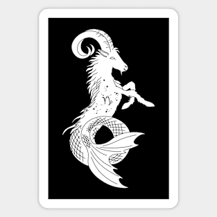 CAPRICORN Magnet